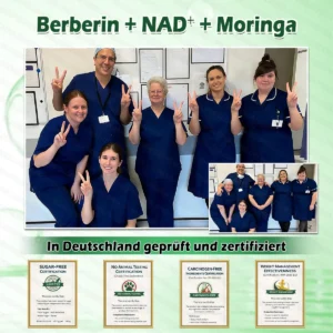 GLOWYLO® Moringa· Berberin x NAD+ FortschrittlichesNano-Mikronadel-Pflaster 10-in-1